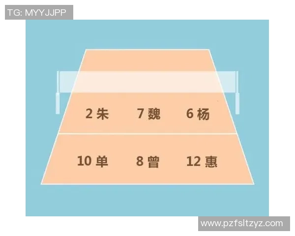 杭州排球队反击体系解析与战术创新研究