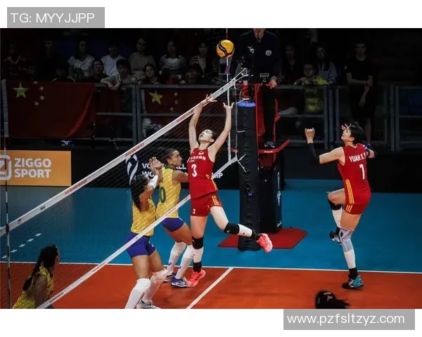 武汉排球队灵活性排名第一最新排球灵活性TOP10揭晓