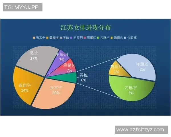 数据分析：南京排球队的比赛经验表现