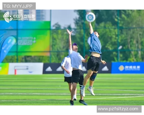 2026飞盘耐力排行榜：西安飞盘队位居第9名